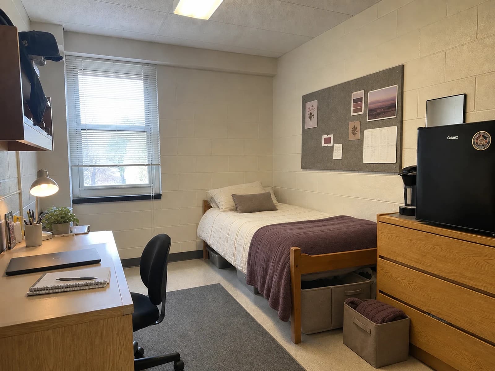 Editorial version of the same dorm in warm ivory, mushroom taupe, muted plum, and oak