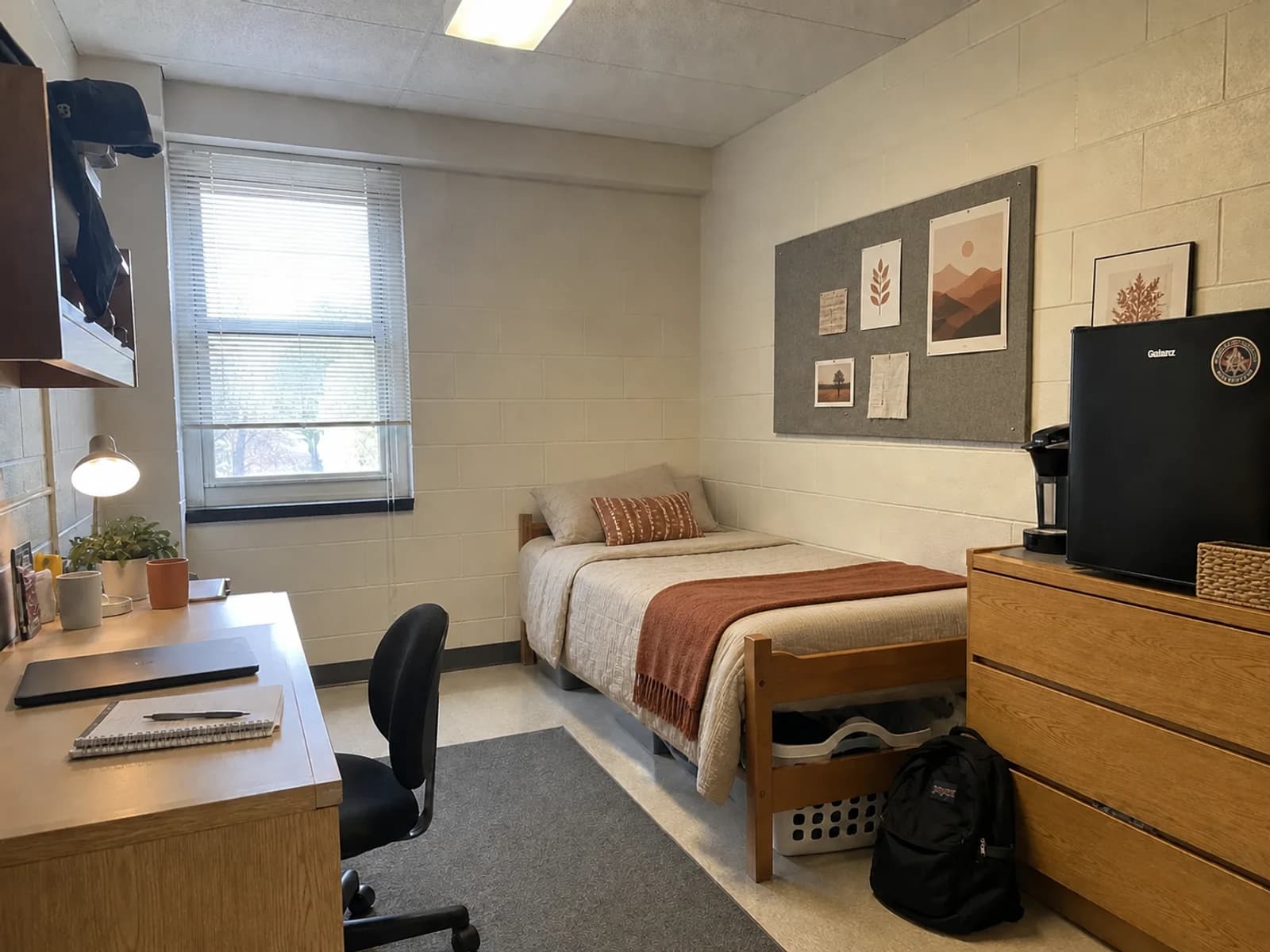 Editorial version of the same dorm in oatmeal, cream, muted terracotta, and warm wood